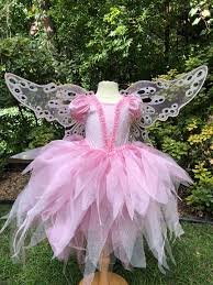 Fairy Costume